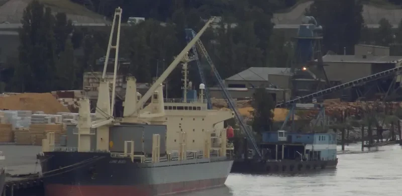 BMC CATHERINE General Cargo IMO 9205639