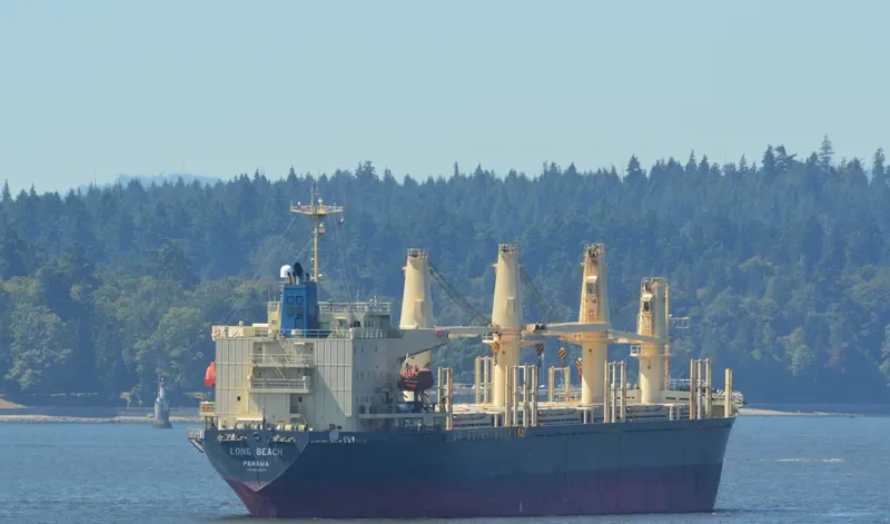 BMC CATHERINE General Cargo IMO 9205639 photo 10
