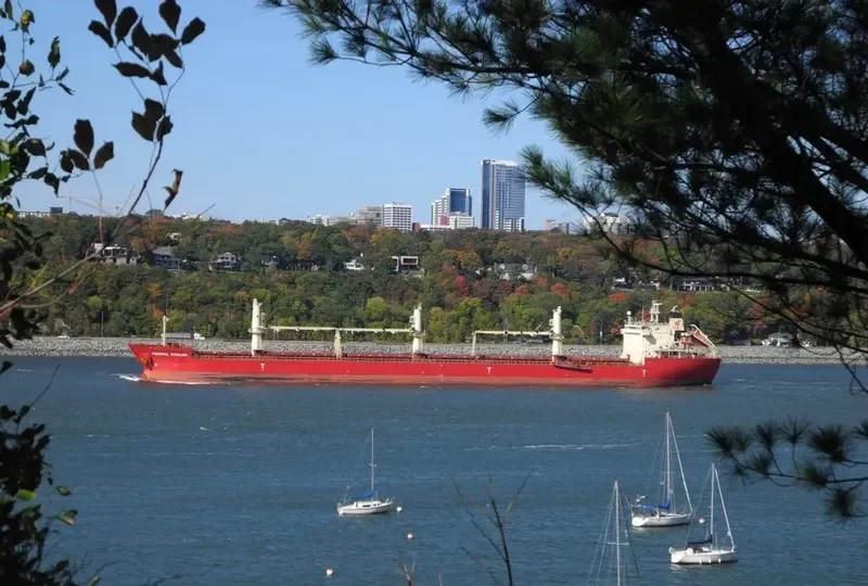 FEDERAL KIVALINA Bulk Carrier IMO 9205885 photo 13