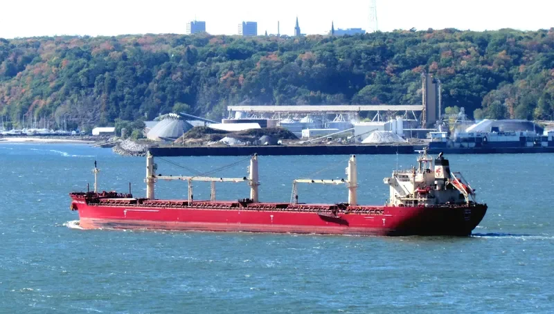 FEDERAL KIVALINA Bulk Carrier IMO 9205885 photo 26