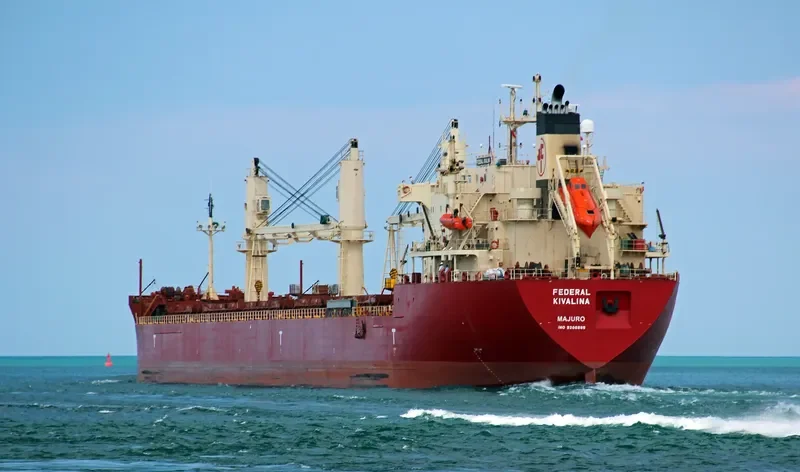FEDERAL KIVALINA Bulk Carrier IMO 9205885 photo 29
