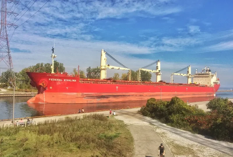 FEDERAL KIVALINA Bulk Carrier IMO 9205885 photo 32