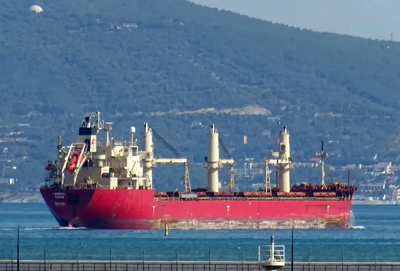 FEDERAL YUKON Bulk Carrier IMO 9205897 photo 9