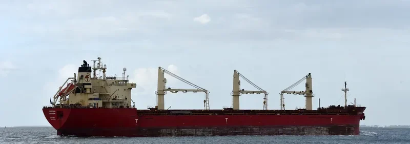 FEDERAL HUDSON Bulk Carrier IMO 9205902 photo 3