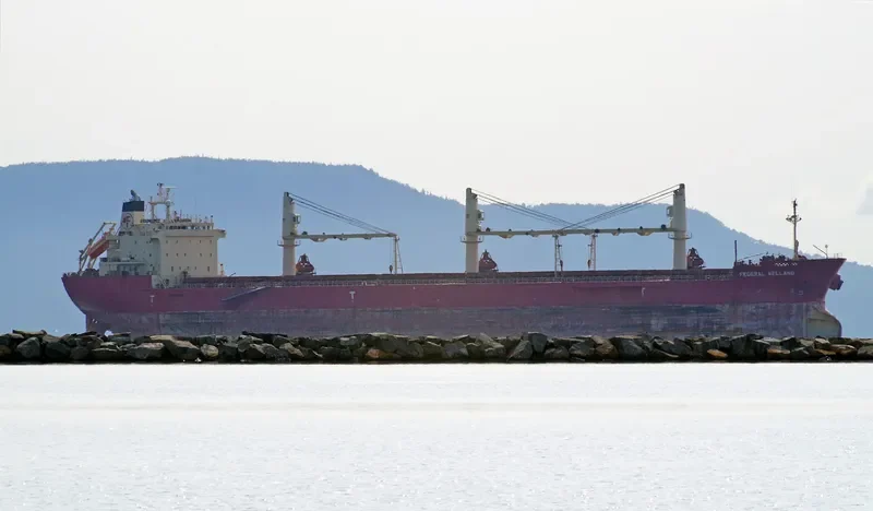 FEDERAL WELLAND Bulk Carrier IMO 9205926 photo 3