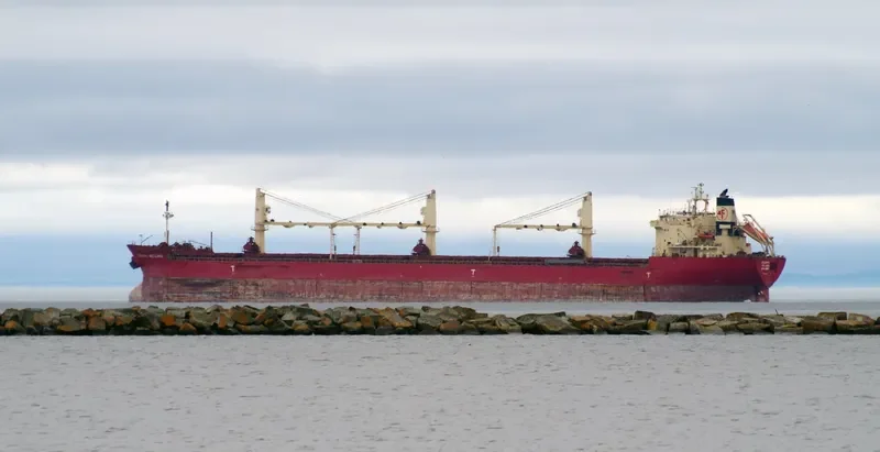 FEDERAL WELLAND Bulk Carrier IMO 9205926 photo 6