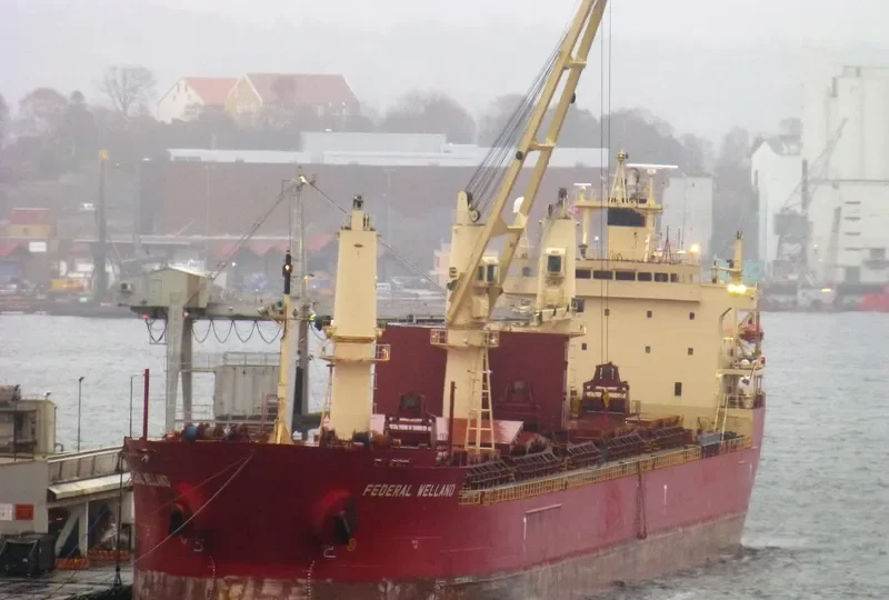 FEDERAL WELLAND Bulk Carrier IMO 9205926 photo 9