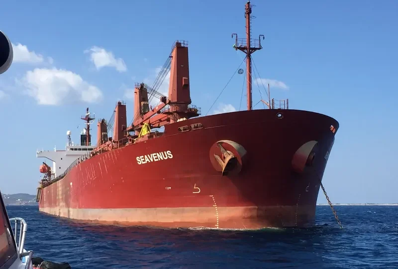 SEAVENUS Bulk Carrier IMO 9205940