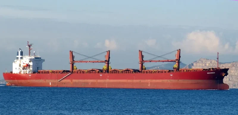 SEAVENUS Bulk Carrier IMO 9205940 photo 3