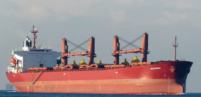 SEAVENUS Bulk Carrier IMO 9205940 photo 4