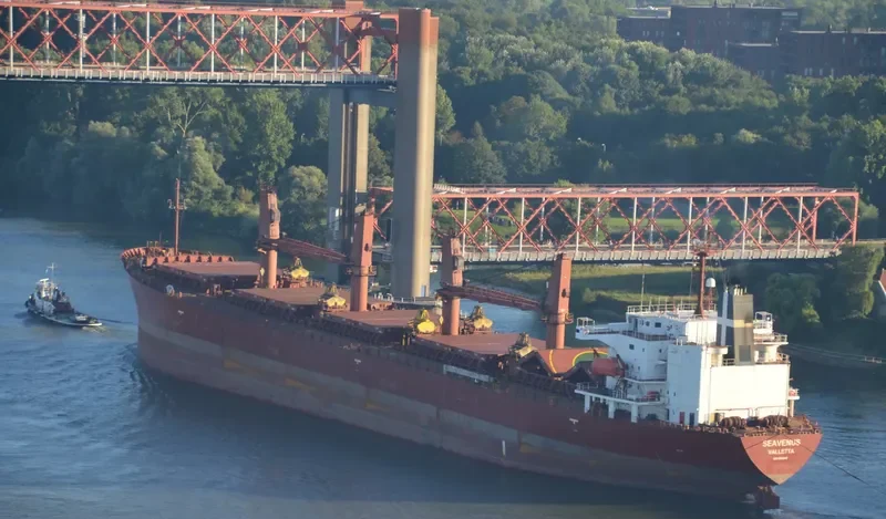 SEAVENUS Bulk Carrier IMO 9205940 photo 5