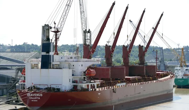 SEAVENUS Bulk Carrier IMO 9205940 photo 7