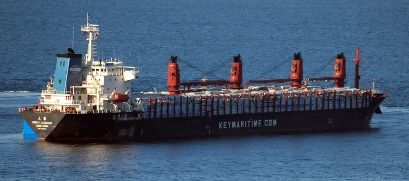 GREAT CONCORD Bulk Carrier IMO 9206695 photo 10