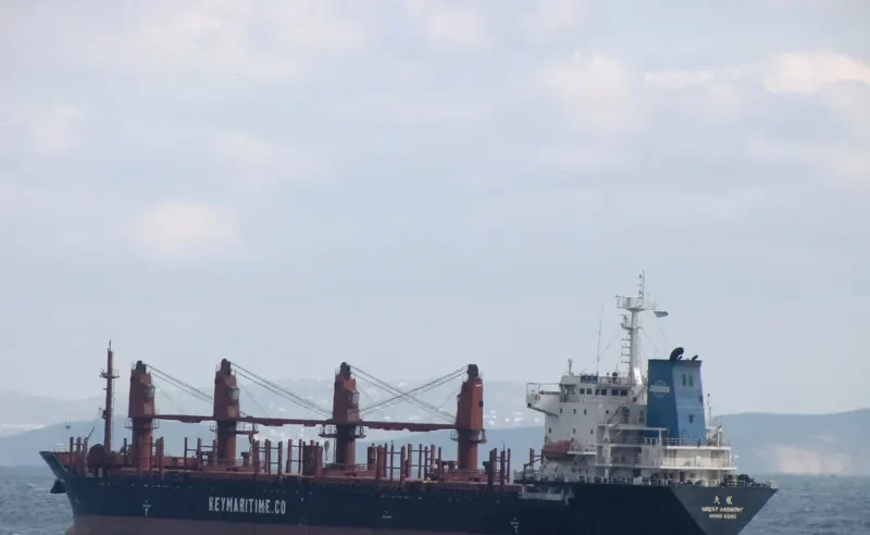 GREAT HARMONY Bulk Carrier IMO 9206724 photo 3