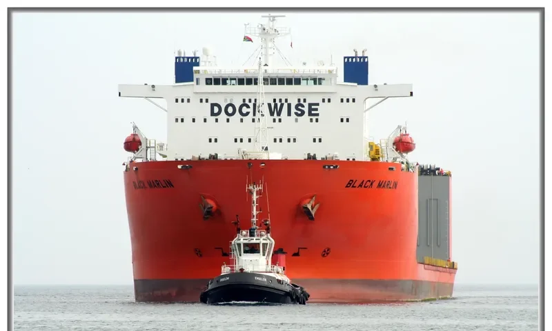 ENSELENI General Cargo IMO 9206750