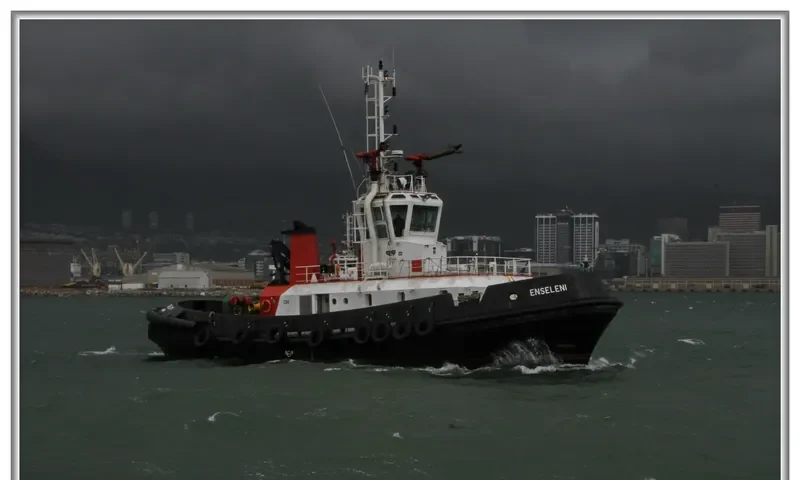ENSELENI General Cargo IMO 9206750 photo 3