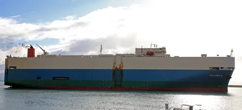PALMELA General Cargo IMO 9207388 photo 3