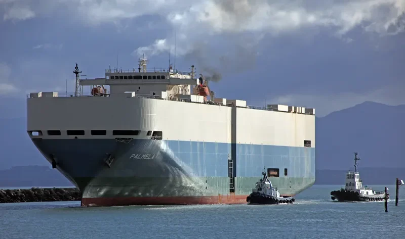 PALMELA General Cargo IMO 9207388 photo 6