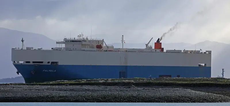 PALMELA General Cargo IMO 9207388 photo 7