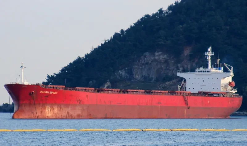 JASMINE 201 Bulk Carrier IMO 9207417 photo 4