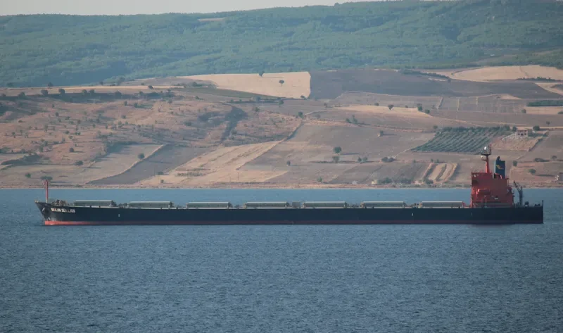 BEI LUN HAI SHI Bulk Carrier IMO 9207766 photo 2