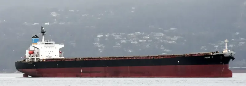 ANNA S Bulk Carrier IMO 9207778 photo 4