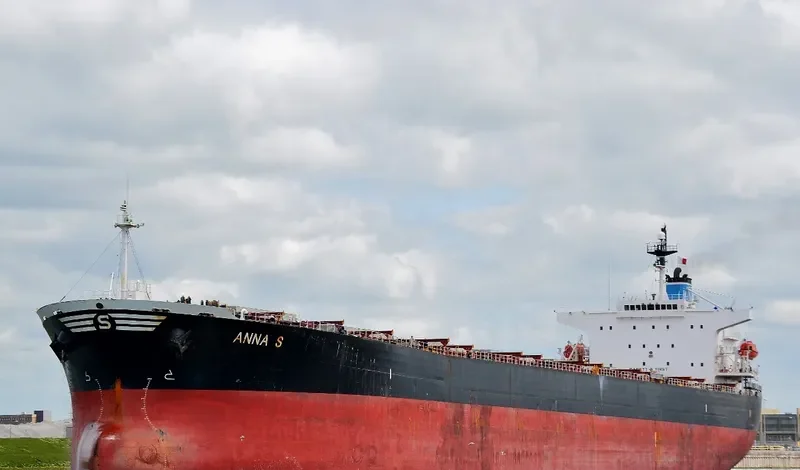 ANNA S Bulk Carrier IMO 9207778 photo 7