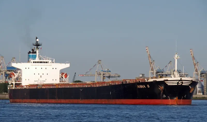 ANNA S Bulk Carrier IMO 9207778 photo 10