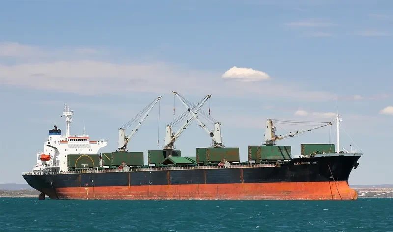 GEAT WISDOM Bulk Carrier IMO 9207792 photo 4