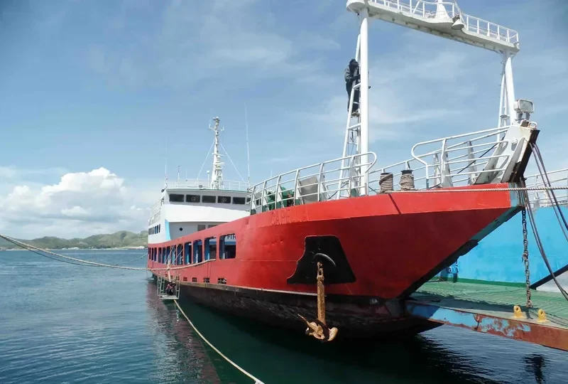 CAPELLA Ro-Ro IMO 9208241 photo 2
