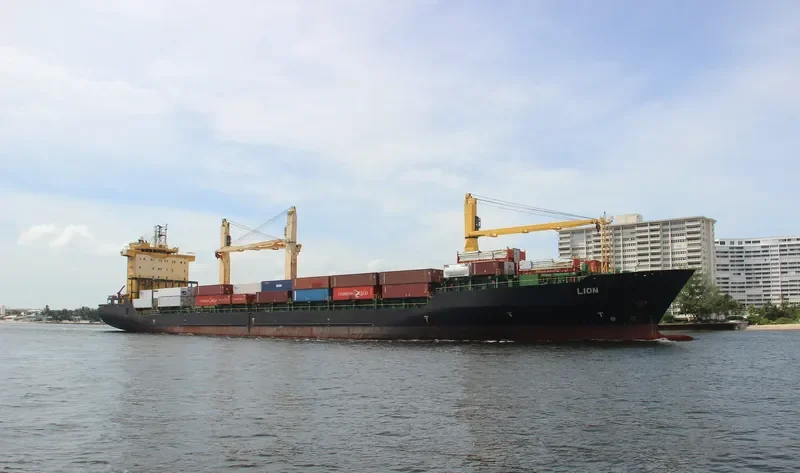 LION Container Ship IMO 9208356