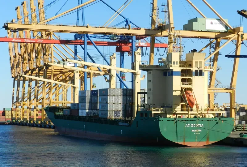LION Container Ship IMO 9208356 photo 5