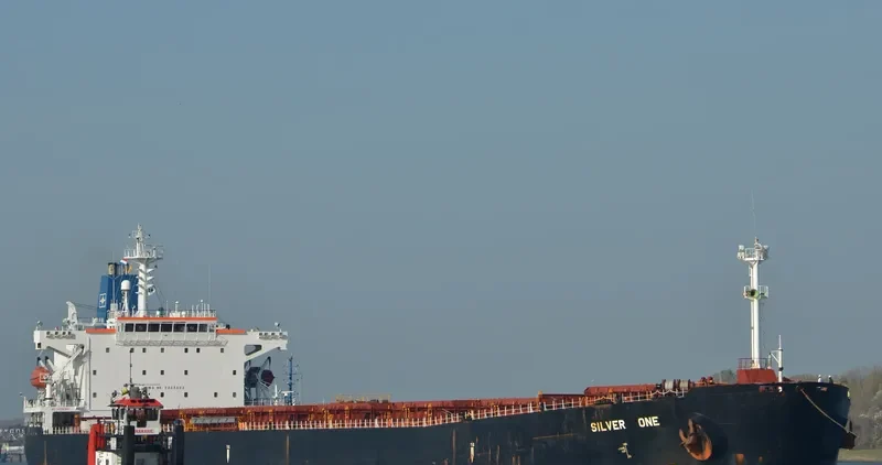 ZHONG AN YANG Bulk Carrier IMO 9208502 photo 7
