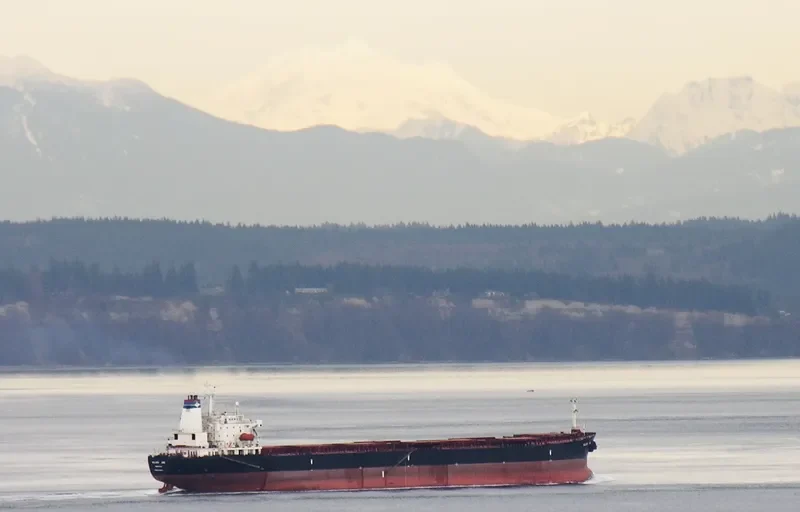 ZHONG AN YANG Bulk Carrier IMO 9208502 photo 9