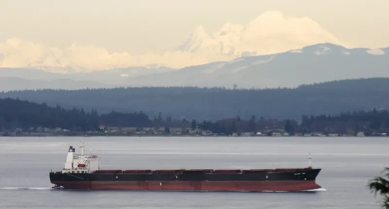 ZHONG AN YANG Bulk Carrier IMO 9208502 photo 10