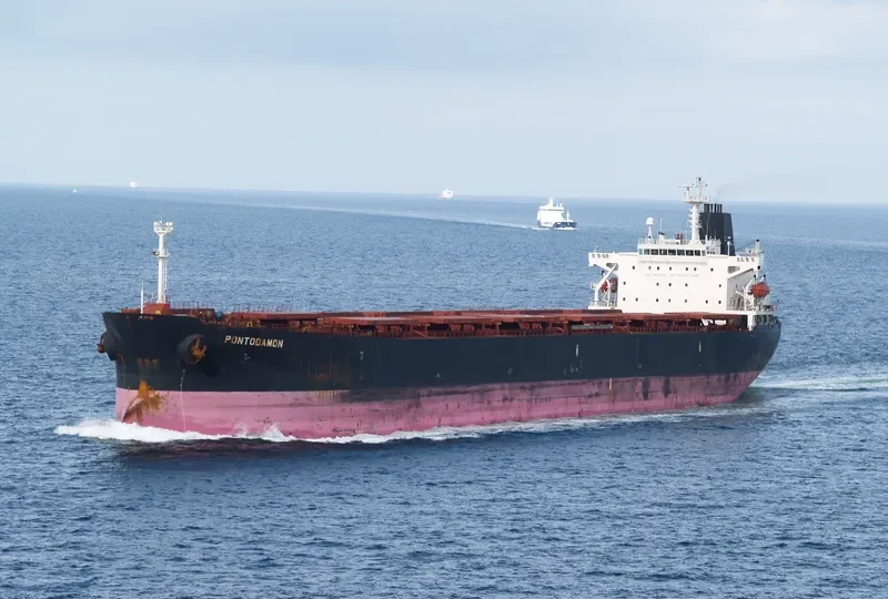 LEI SHENG 2 Bulk Carrier IMO 9208514 photo 7