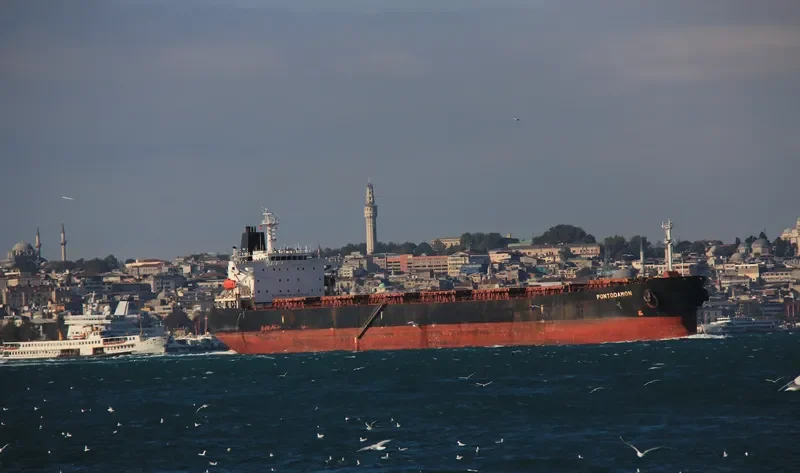 LEI SHENG 2 Bulk Carrier IMO 9208514 photo 8