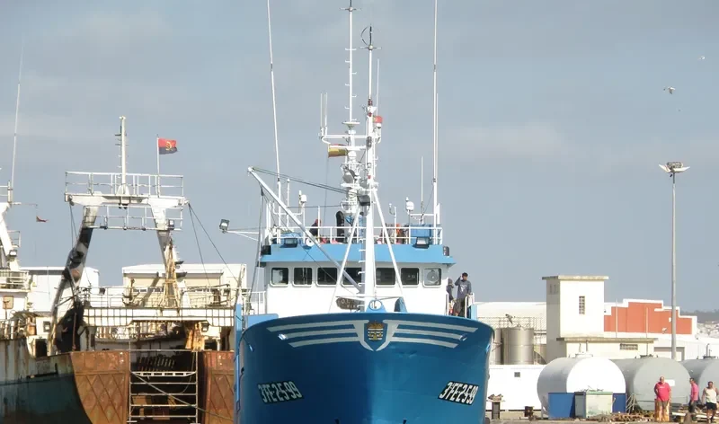 OLEAJE General Cargo IMO 9208942