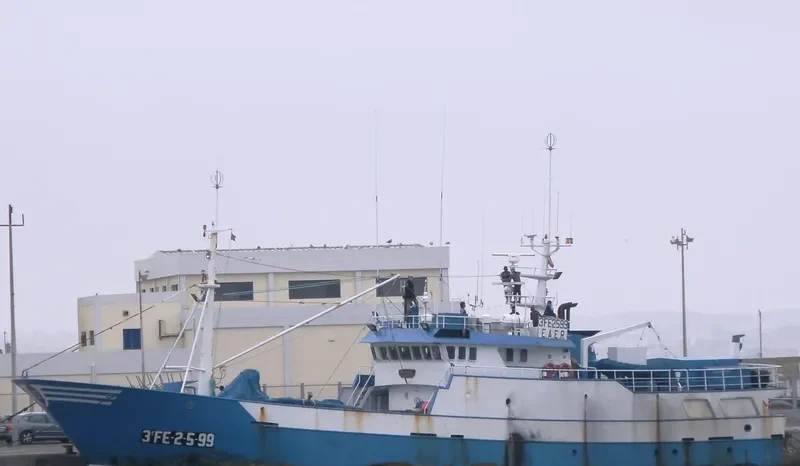 OLEAJE General Cargo IMO 9208942 photo 3