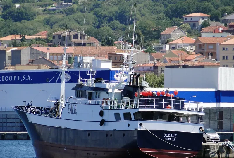 OLEAJE General Cargo IMO 9208942 photo 6