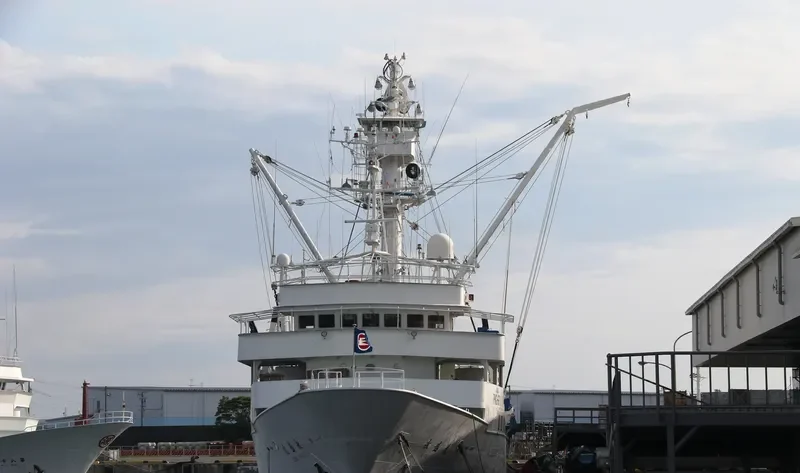 EISEI MARU General Cargo IMO 9209099 photo 8