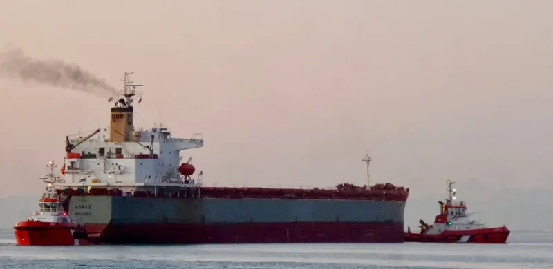 AGNES Bulk Carrier IMO 9209116 photo 5