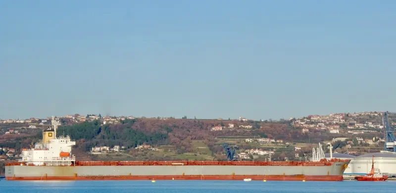 AGNES Bulk Carrier IMO 9209116 photo 6