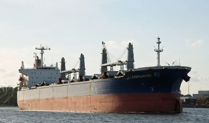 LIANHUAHAI Bulk Carrier IMO 9209207 photo 8