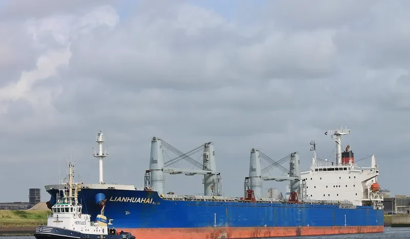 LIANHUAHAI Bulk Carrier IMO 9209207 photo 10