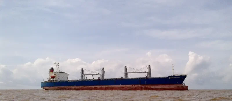 DINGXIANGHAI Bulk Carrier IMO 9209219 photo 9