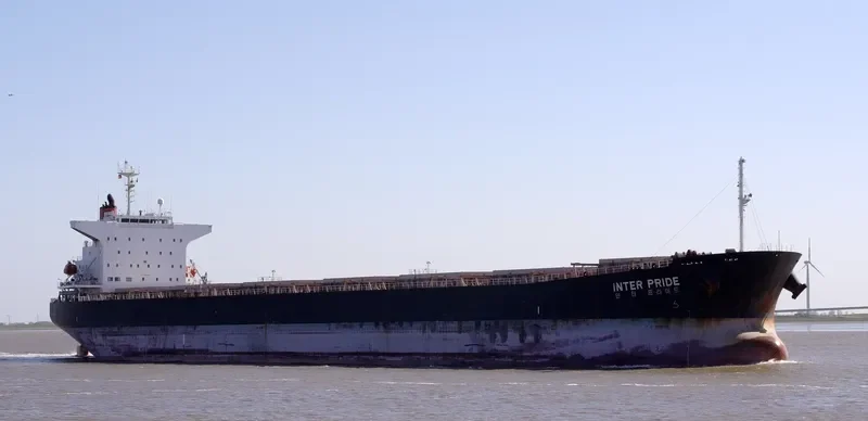 MAHAVIR Bulk Carrier IMO 9209491 photo 3