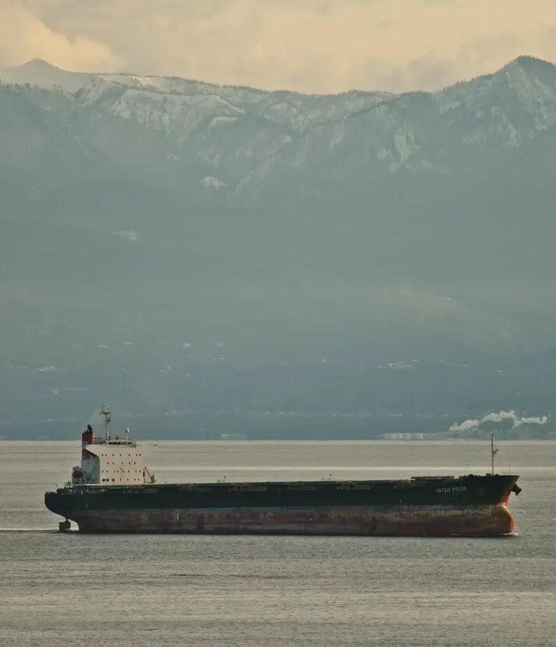 MAHAVIR Bulk Carrier IMO 9209491 photo 4