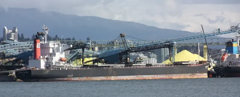 MAHAVIR Bulk Carrier IMO 9209491 photo 7