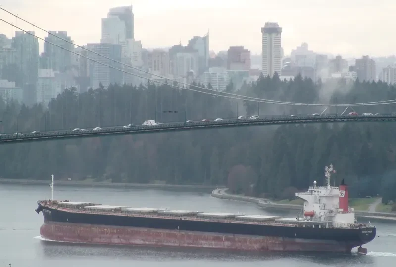 MAHAVIR Bulk Carrier IMO 9209491 photo 8
